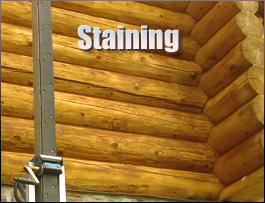  Mount Perry, Ohio Log Home Staining